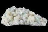 Zoned Apophyllite Crystals With Stilbite - India #91325-2